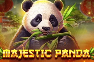 Tampilan dashboard olahraga dan pasar sepak bola